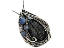 Load image into Gallery viewer, Trilobite Fossil Pendant: Blue Kyanite and Sterling Silver Wire Wrap