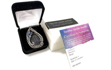 Load image into Gallery viewer, Trilobite Fossil Pendant: Blue Kyanite and Sterling Silver Wire Wrap