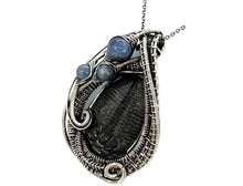 Load image into Gallery viewer, Trilobite Fossil Pendant: Blue Kyanite and Sterling Silver Wire Wrap