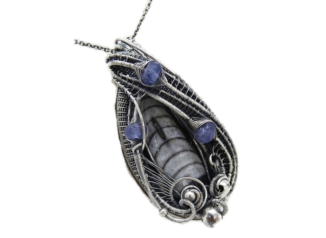 Orthoceras Fossil Pendant with Tanzanite in Sterling Silver, Wire Wrap