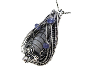 Orthoceras Fossil Pendant with Tanzanite in Sterling Silver, Wire Wrap