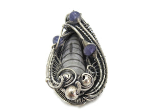 Orthoceras Fossil Pendant with Tanzanite in Sterling Silver, Wire Wrap